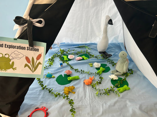 Creating a Pond Life Adventure: A Preschool Theme Idea for Hands-On Playing