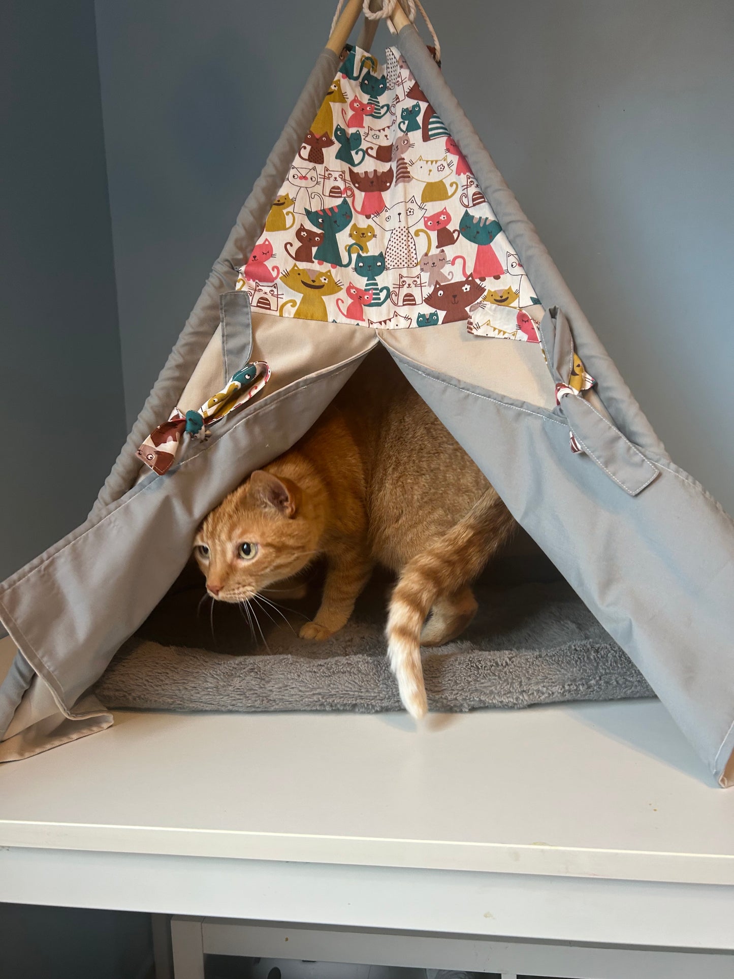 Purrfect Hideaway Cat Teepee- pets size small