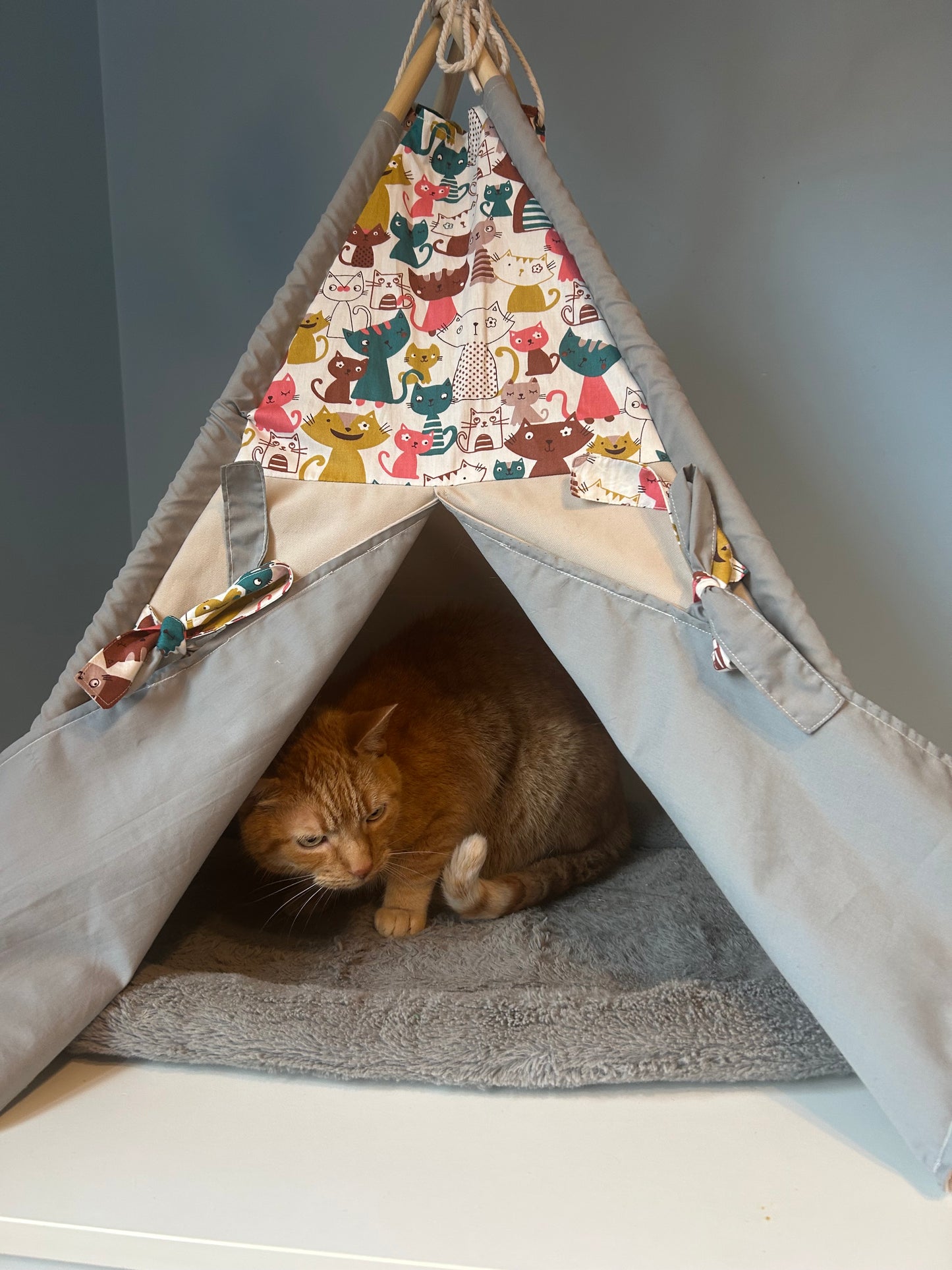 Purrfect Hideaway Cat Teepee- pets size small