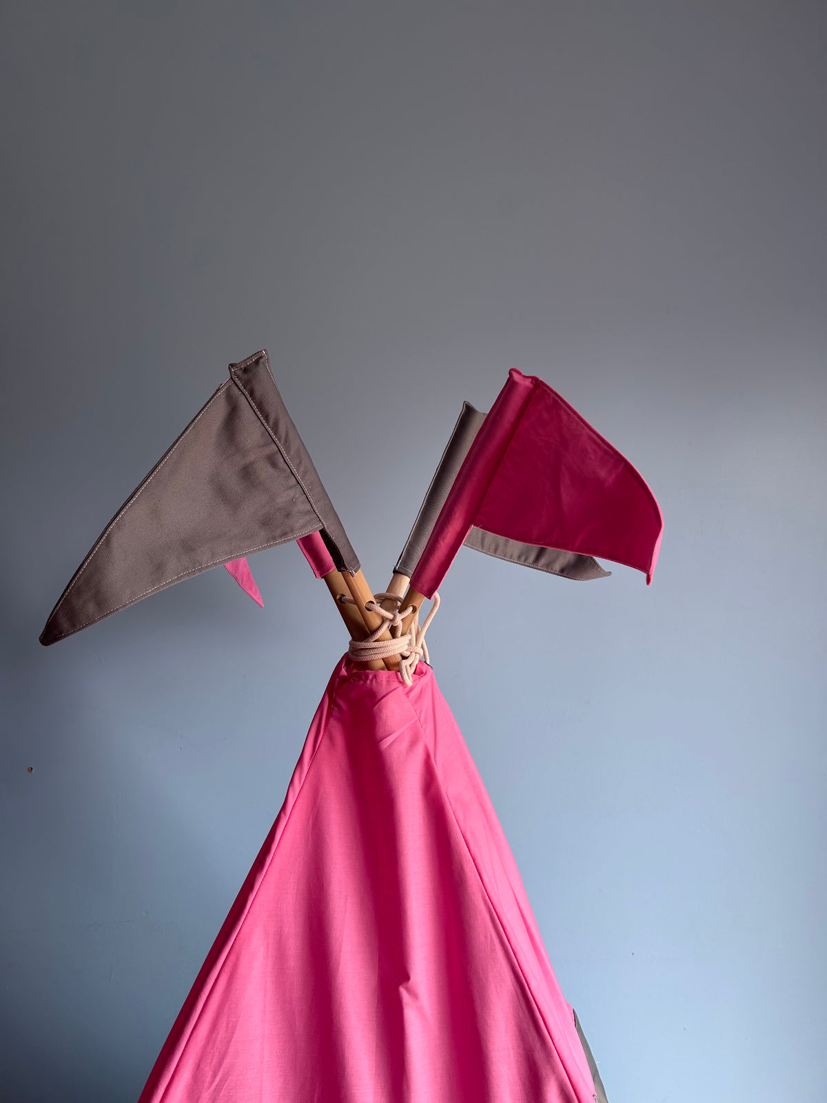 🏰 Petal Princess Castle Teepee